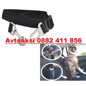 Avtoaksi